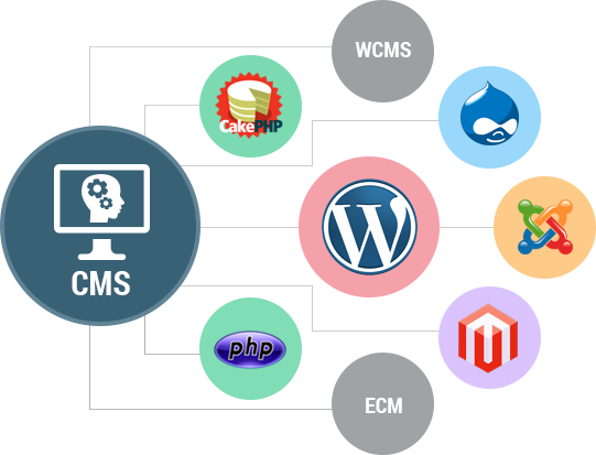 cms-developers-banner